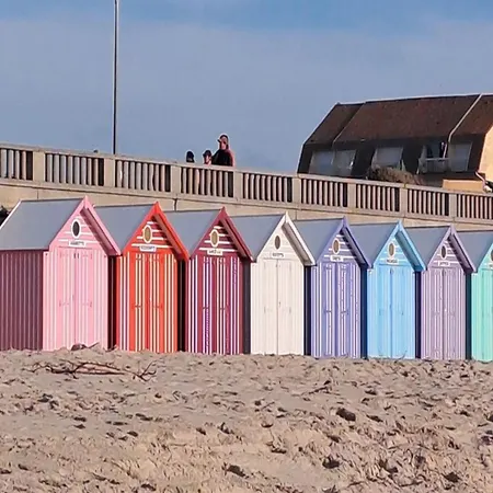 By Belgian Coast With Sun Terrace, Cleaning Included Daire