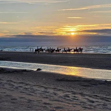 By Belgian Coast With Sun Terrace, Cleaning Included Oostduinkerke