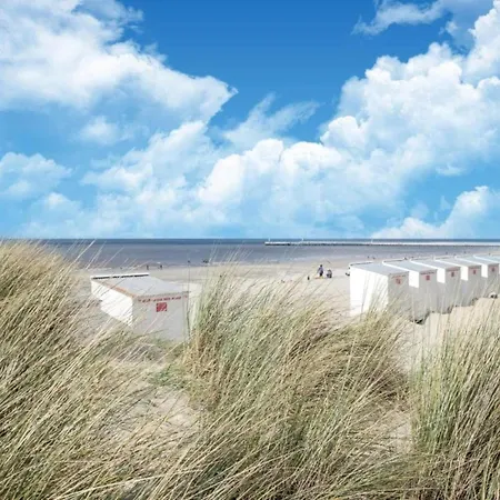 By Belgian Coast With Sun Terrace, Cleaning Included Apartamento